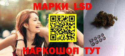 гидропоника Будённовск