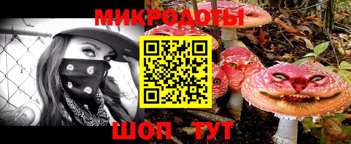 Галлюциногенные грибы Cubensis  Вход с VPN  Красноуфимск 