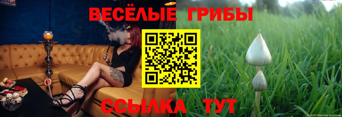 Псилоцибиновые грибы мицелий Красноуфимск